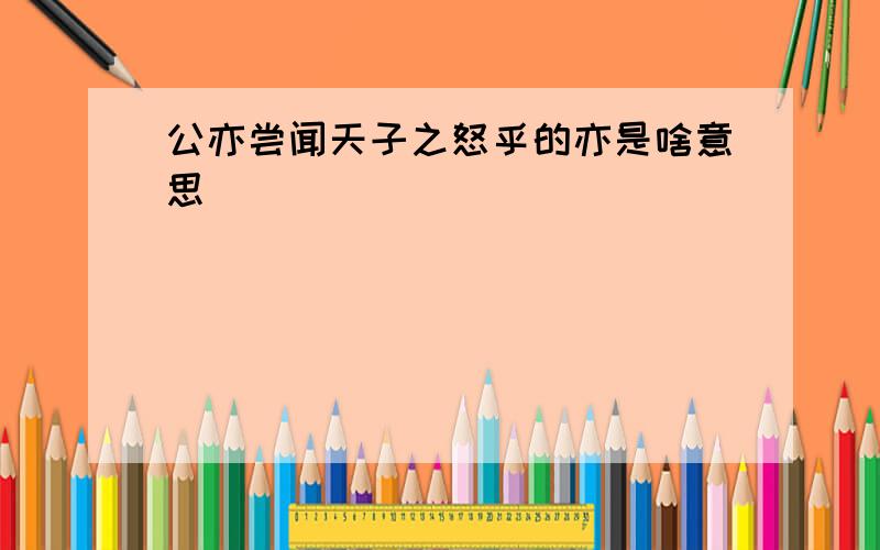 公亦尝闻天子之怒乎的亦是啥意思