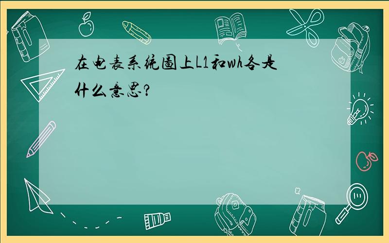 在电表系统图上L1和wh各是什么意思?