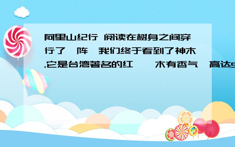 阿里山纪行 阅读在树身之间穿行了一阵,我们终于看到了神木.它是台湾著名的红桧,木有香气,高达58米,胸径6.5米,可以说