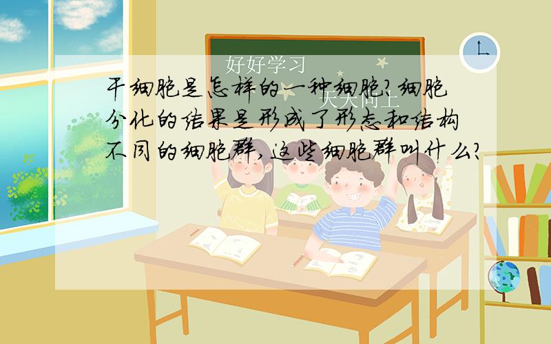 干细胞是怎样的一种细胞?细胞分化的结果是形成了形态和结构不同的细胞群,这些细胞群叫什么?