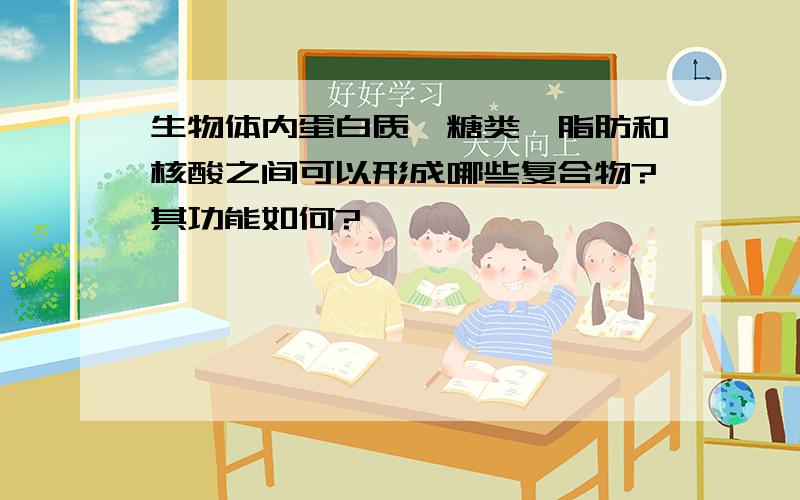 生物体内蛋白质、糖类、脂肪和核酸之间可以形成哪些复合物?其功能如何?