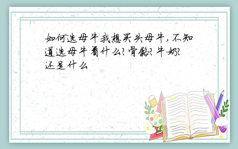 如何选母牛我想买头母牛,不知道选母牛看什么?骨骼?牛奶?还是什么