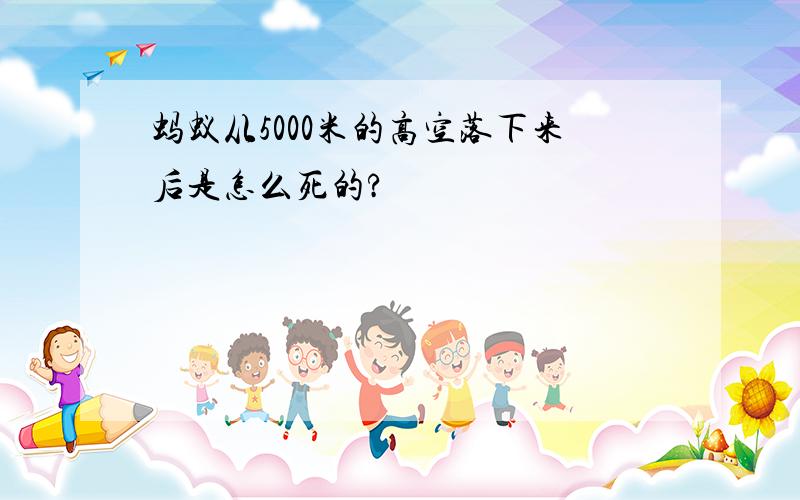 蚂蚁从5000米的高空落下来后是怎么死的?