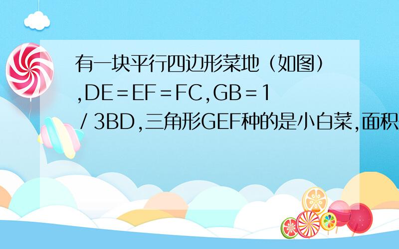 有一块平行四边形菜地（如图）,DE＝EF＝FC,GB＝1／3BD,三角形GEF种的是小白菜,面积是8平方米,求这块平形四