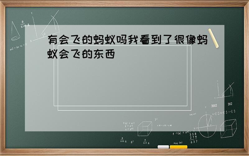 有会飞的蚂蚁吗我看到了很像蚂蚁会飞的东西