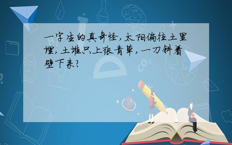 一字生的真奇怪,太阳偏往土里埋,土堆只上张青草,一刀斜着壁下来?