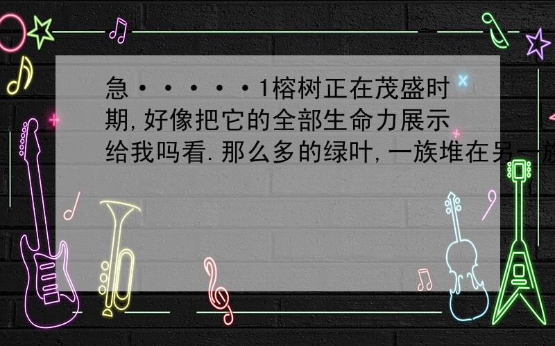 急·····1榕树正在茂盛时期,好像把它的全部生命力展示给我吗看.那么多的绿叶,一族堆在另一族上面,不留一点二缝隙.那翠