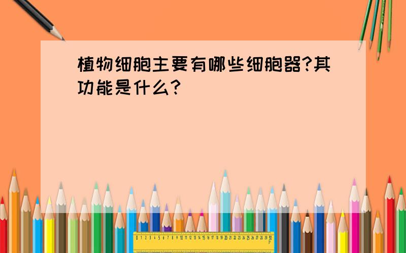 植物细胞主要有哪些细胞器?其功能是什么?