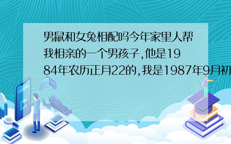 男鼠和女兔相配吗今年家里人帮我相亲的一个男孩子,他是1984年农历正月22的,我是1987年9月初8 .以前听说鼠和兔不