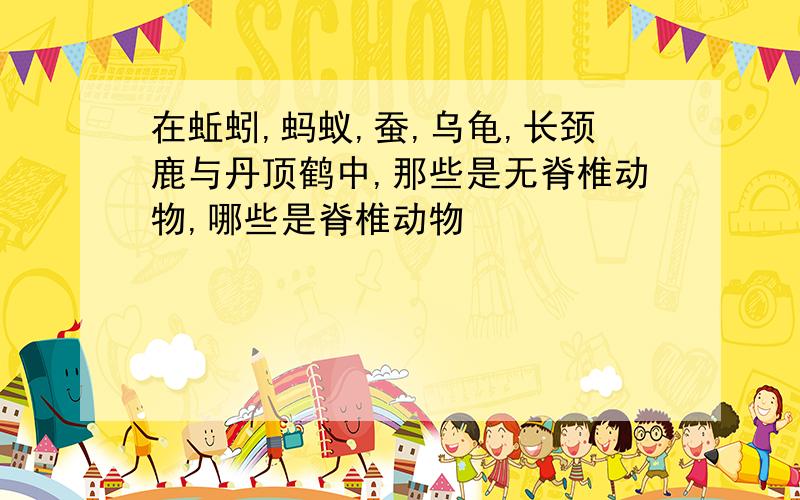 在蚯蚓,蚂蚁,蚕,乌龟,长颈鹿与丹顶鹤中,那些是无脊椎动物,哪些是脊椎动物