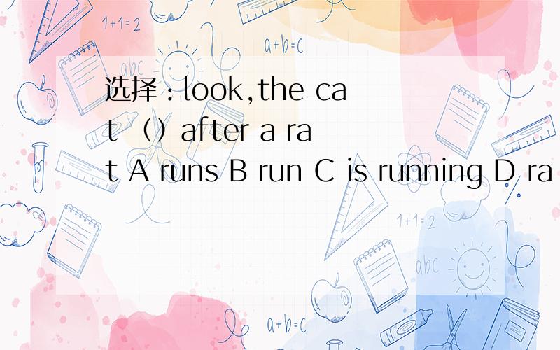 选择：look,the cat （）after a rat A runs B run C is running D ra