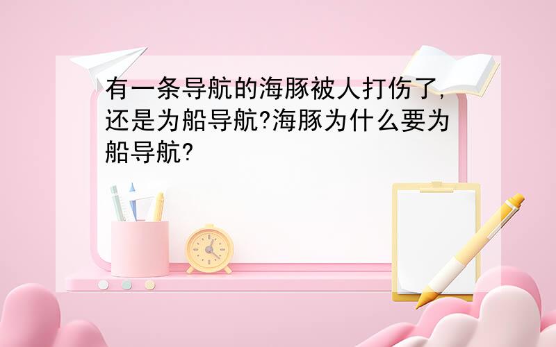 有一条导航的海豚被人打伤了,还是为船导航?海豚为什么要为船导航?