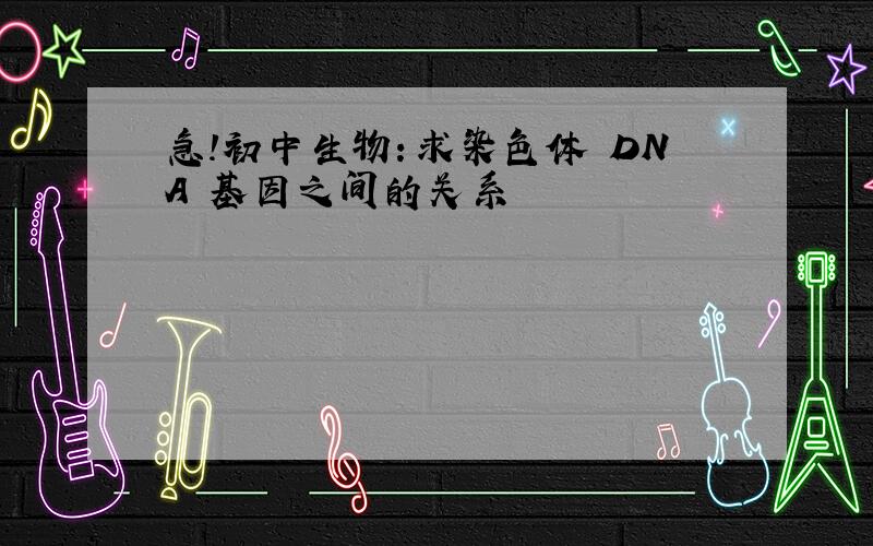 急!初中生物：求染色体 DNA 基因之间的关系