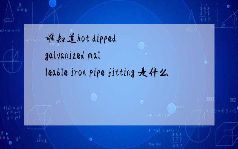 谁知道hot dipped galvanized malleable iron pipe fitting 是什么