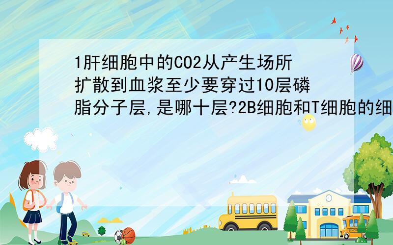 1肝细胞中的CO2从产生场所扩散到血浆至少要穿过10层磷脂分子层,是哪十层?2B细胞和T细胞的细胞外液为什么是淋巴和血浆