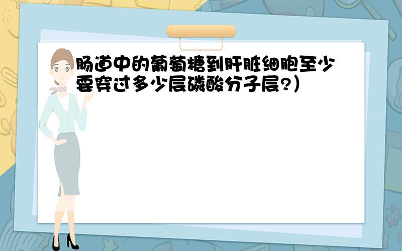 肠道中的葡萄糖到肝脏细胞至少要穿过多少层磷酸分子层?）