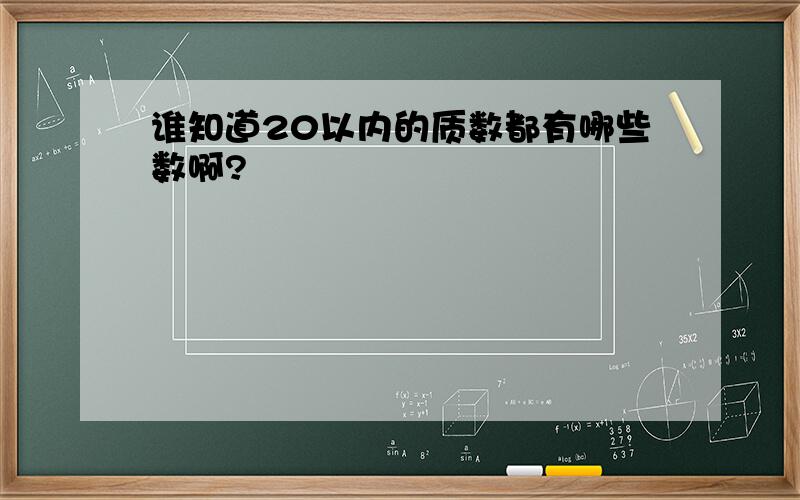 谁知道20以内的质数都有哪些数啊?