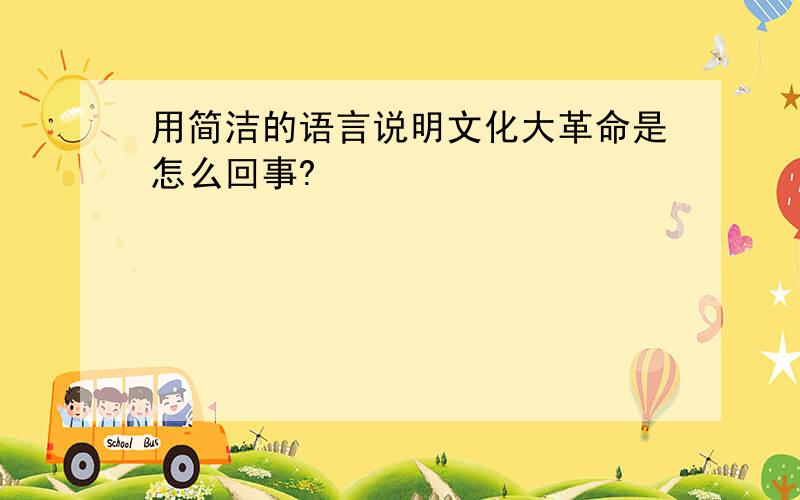 用简洁的语言说明文化大革命是怎么回事?