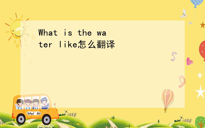 What is the water like怎么翻译