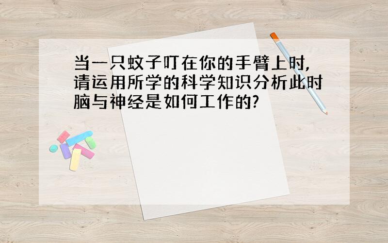 当一只蚊子叮在你的手臂上时,请运用所学的科学知识分析此时脑与神经是如何工作的?