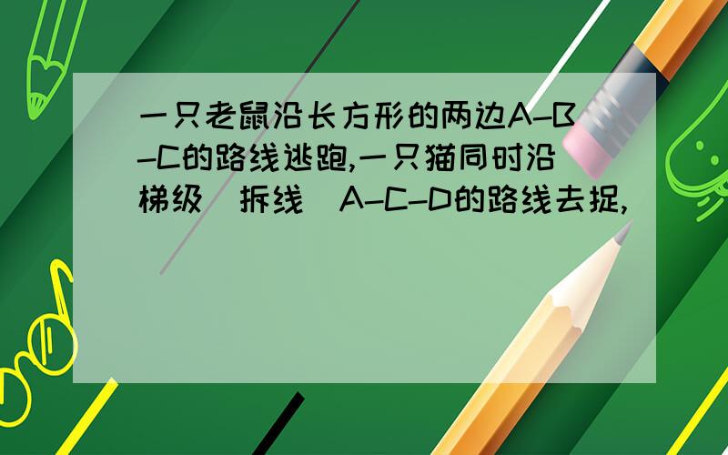 一只老鼠沿长方形的两边A-B-C的路线逃跑,一只猫同时沿梯级(拆线)A-C-D的路线去捉,