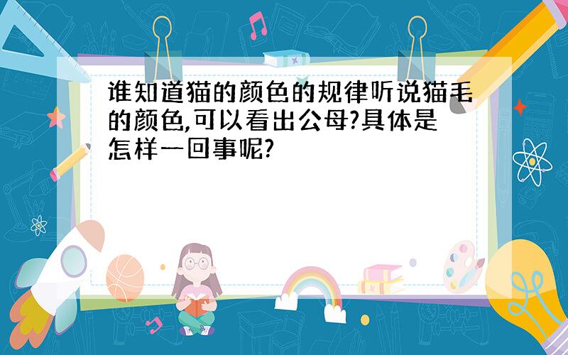 谁知道猫的颜色的规律听说猫毛的颜色,可以看出公母?具体是怎样一回事呢?