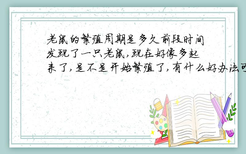 老鼠的繁殖周期是多久前段时间发现了一只老鼠,现在好像多起来了,是不是开始繁殖了,有什么好办法可以消灭或者是驱赶.