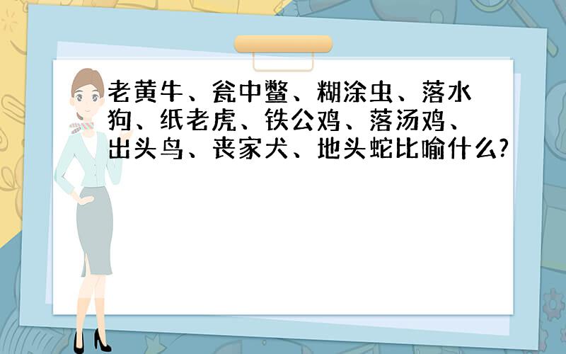 老黄牛、瓮中鳖、糊涂虫、落水狗、纸老虎、铁公鸡、落汤鸡、出头鸟、丧家犬、地头蛇比喻什么?