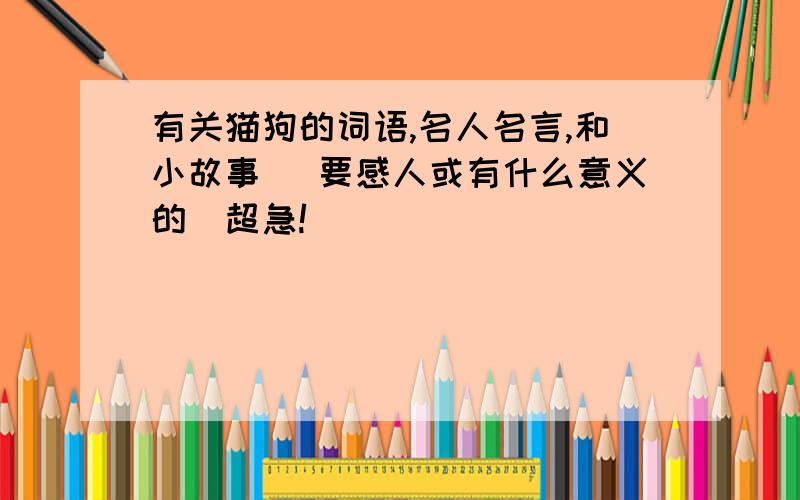 有关猫狗的词语,名人名言,和小故事( 要感人或有什么意义的）超急!