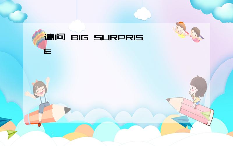 请问 BIG SURPRISE