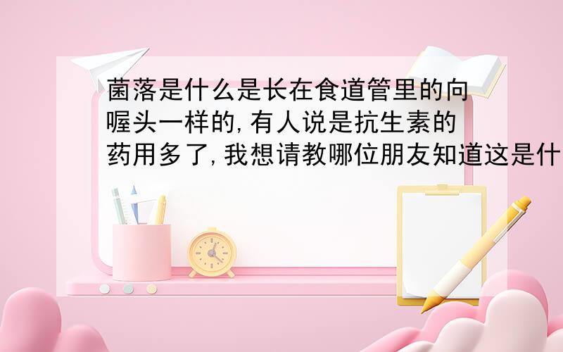 菌落是什么是长在食道管里的向喔头一样的,有人说是抗生素的药用多了,我想请教哪位朋友知道这是什么病?有人说能变癌症是这样吗