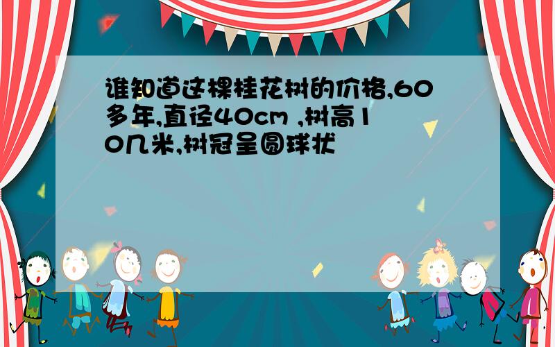 谁知道这棵桂花树的价格,60多年,直径40cm ,树高10几米,树冠呈圆球状