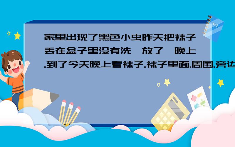 家里出现了黑色小虫昨天把袜子丢在盆子里没有洗,放了一晚上.到了今天晚上看袜子.袜子里面.周围.旁边.都是黑色的小虫子.没