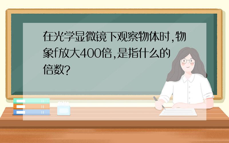 在光学显微镜下观察物体时,物象f放大400倍,是指什么的倍数?