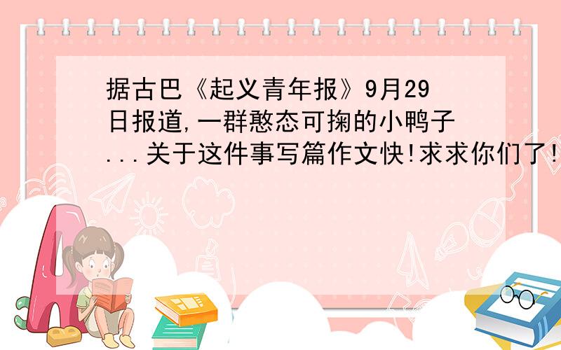 据古巴《起义青年报》9月29日报道,一群憨态可掬的小鸭子...关于这件事写篇作文快!求求你们了!