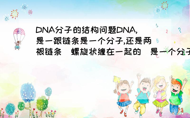 DNA分子的结构问题DNA,是一跟链条是一个分子,还是两根链条（螺旋状缠在一起的）是一个分子?同种分子的内部结构一定相同