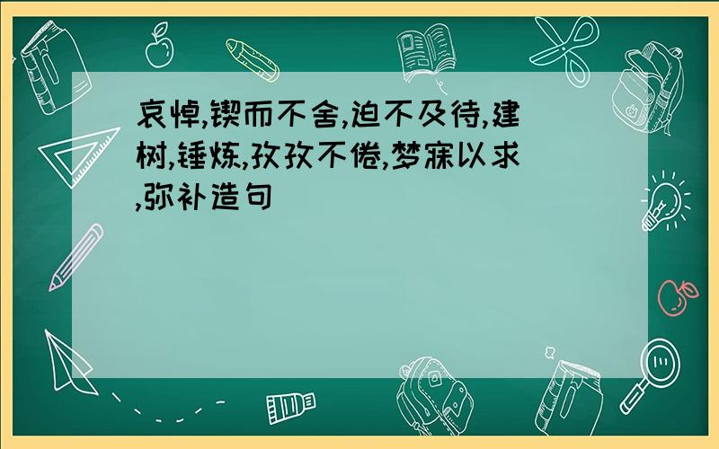 哀悼,锲而不舍,迫不及待,建树,锤炼,孜孜不倦,梦寐以求,弥补造句