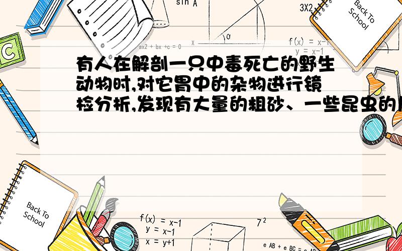 有人在解剖一只中毒死亡的野生动物时,对它胃中的杂物进行镜检分析,发现有大量的粗砂、一些昆虫的尸体、少量植物纤维和一些还活