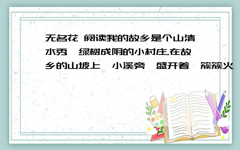 无名花 阅读我的故乡是个山清水秀、绿树成阴的小村庄.在故乡的山坡上,小溪旁,盛开着一簇簇火一样红、雪一样白的小野花.村里