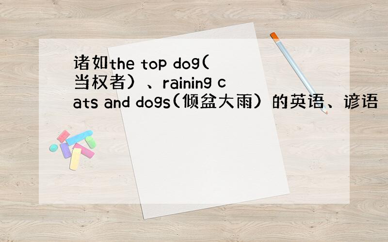 诸如the top dog(当权者）、raining cats and dogs(倾盆大雨）的英语、谚语