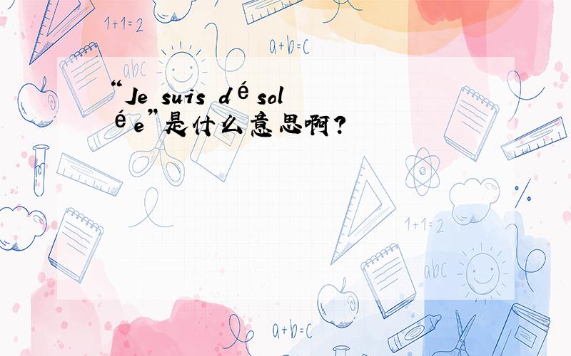 “Je suis désolée”是什么意思啊?