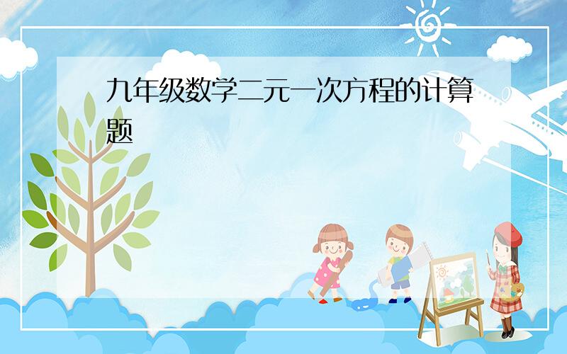 九年级数学二元一次方程的计算题