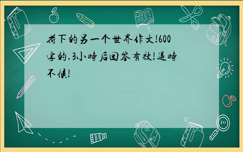 荷下的另一个世界作文!600字的,3小时后回答有效!过时不候!