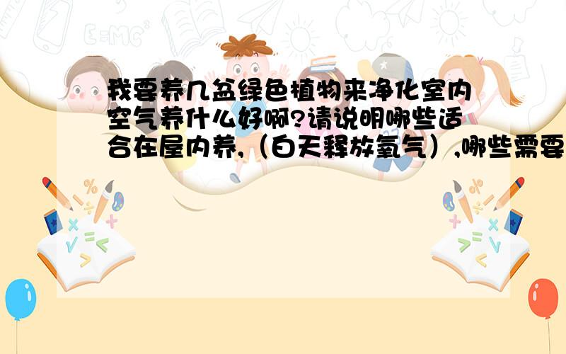 我要养几盆绿色植物来净化室内空气养什么好啊?请说明哪些适合在屋内养,（白天释放氧气）,哪些需要晚上搬到阳台上去,晚上释放