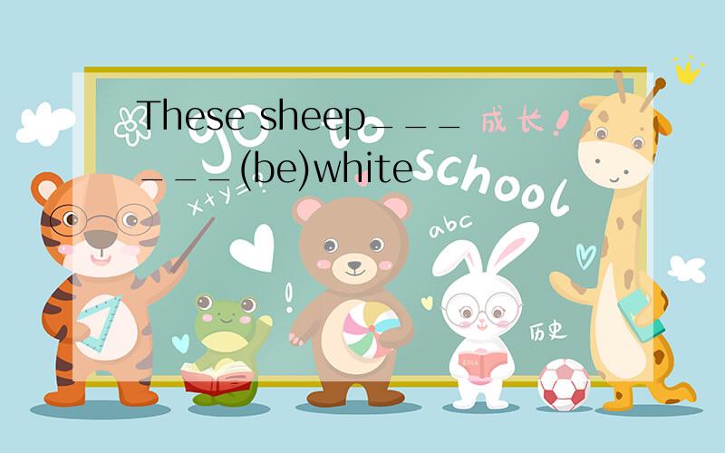 These sheep______(be)white