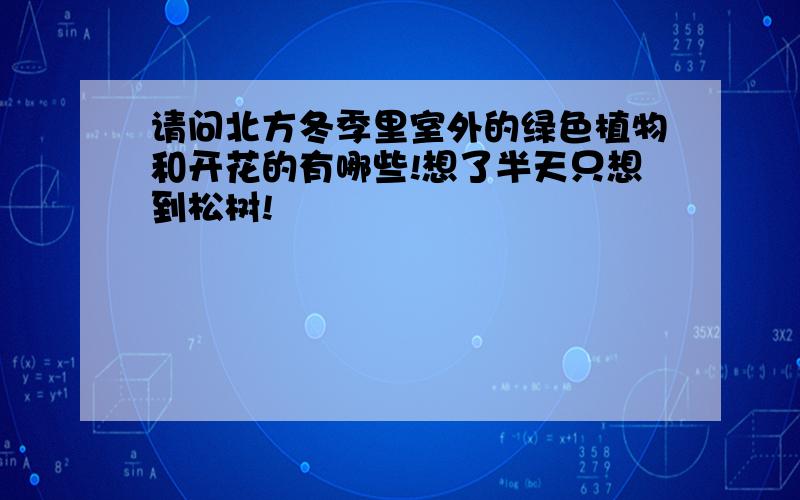 请问北方冬季里室外的绿色植物和开花的有哪些!想了半天只想到松树!