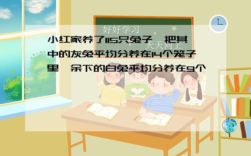 小红家养了115只兔子,把其中的灰兔平均分养在14个笼子里,余下的白兔平均分养在9个