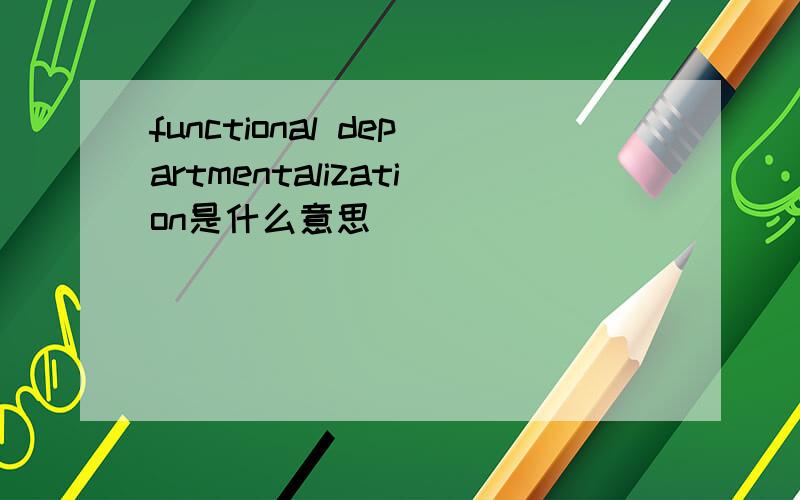 functional departmentalization是什么意思