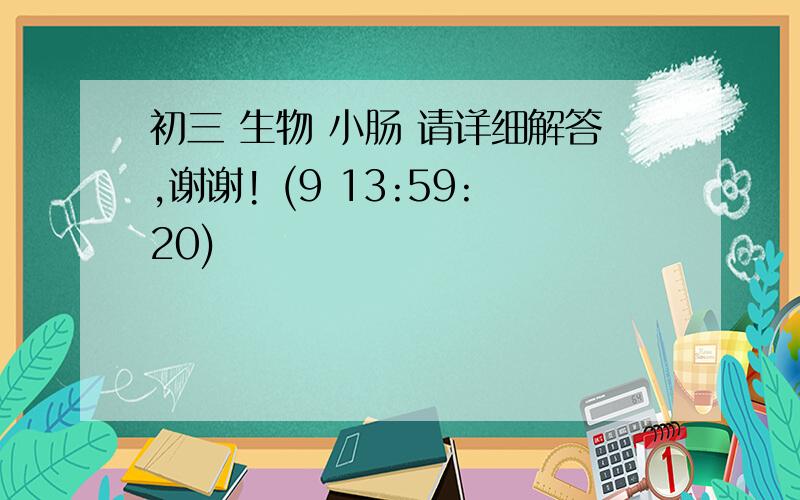 初三 生物 小肠 请详细解答,谢谢! (9 13:59:20)