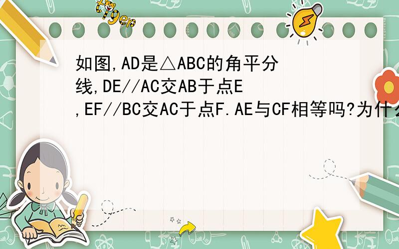 如图,AD是△ABC的角平分线,DE//AC交AB于点E,EF//BC交AC于点F.AE与CF相等吗?为什么